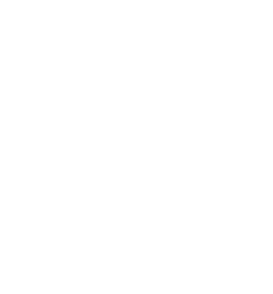 minipedipro-logo